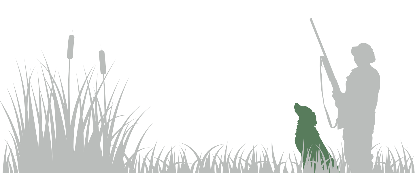 DogHunter and Grass Reeds