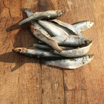 Whole Oily Fish (Frozen) 1KG