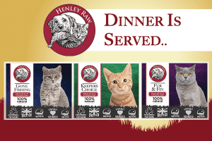 Henley Raw Cat Banner