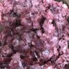 LAMB & TURKEY COMPLETE RAW DOG FOOD