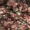 RAW DOG FOOD