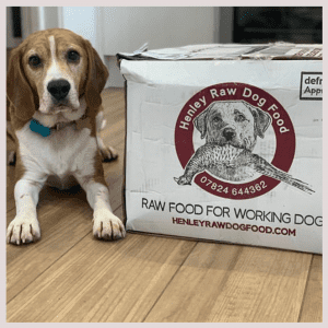 Henley Raw Dog Food Delivery