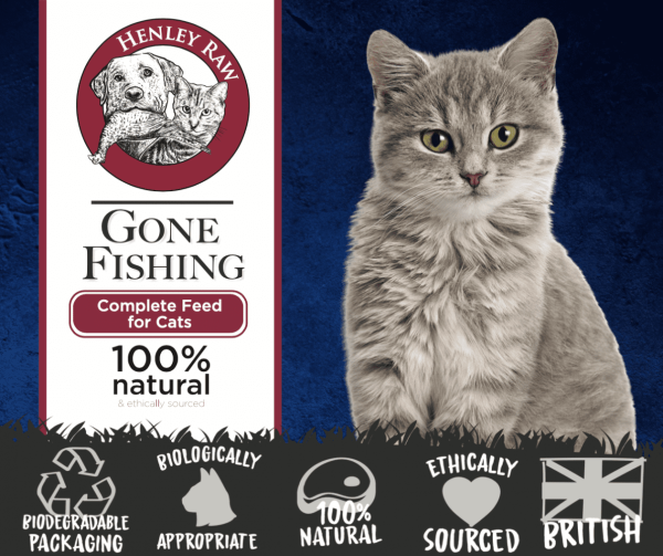 Gone Fishing Raw Cat Food