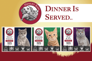 Read more about the article Introducing New Henley Raw Cat Food