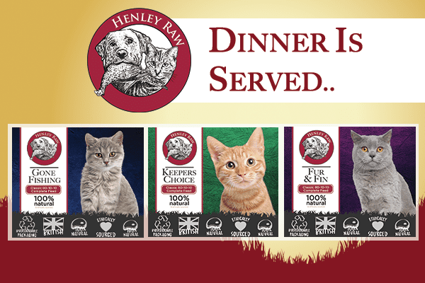 Read more about the article Introducing New Henley Raw Cat Food
