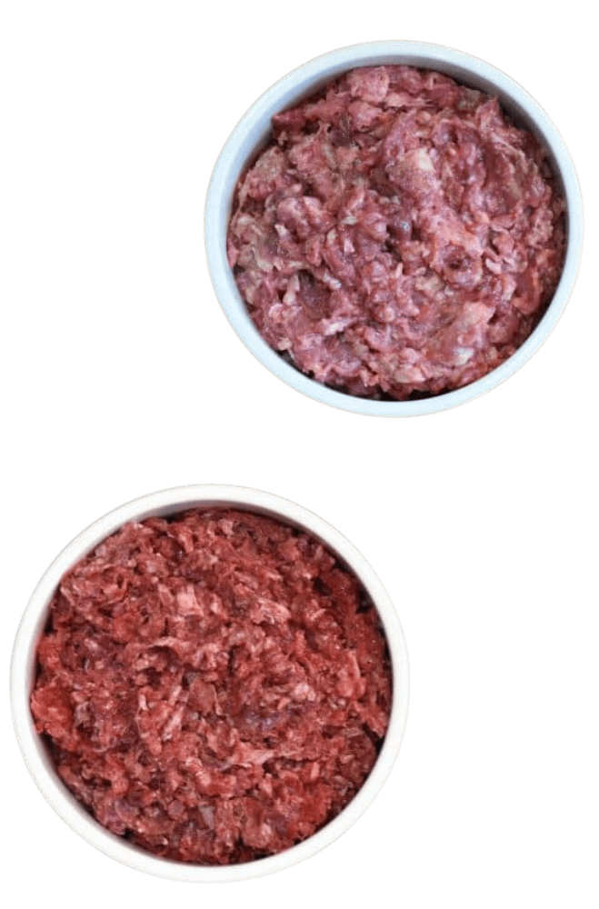 Henley Raw Dog Food | Premium dog food