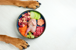 Raw dog food with dogs paws next to the bowl